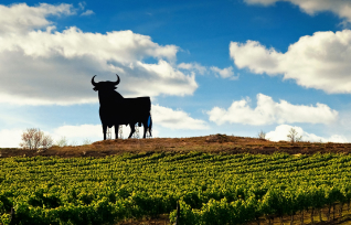 Где сегодня бьётся сердце испанского вина