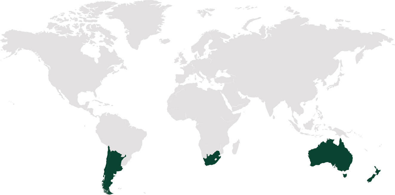 СОБСТВЕННЫЕ ТОРГОВЫЕ МАРКИ