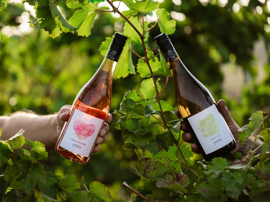 Виноделие в России: история, связи и вектор развития