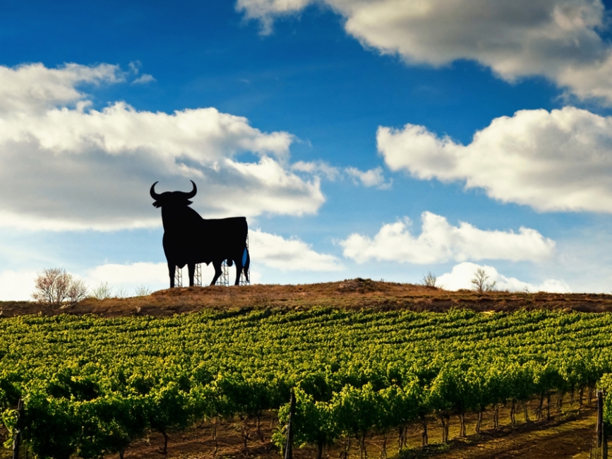 Где сегодня бьётся сердце испанского вина