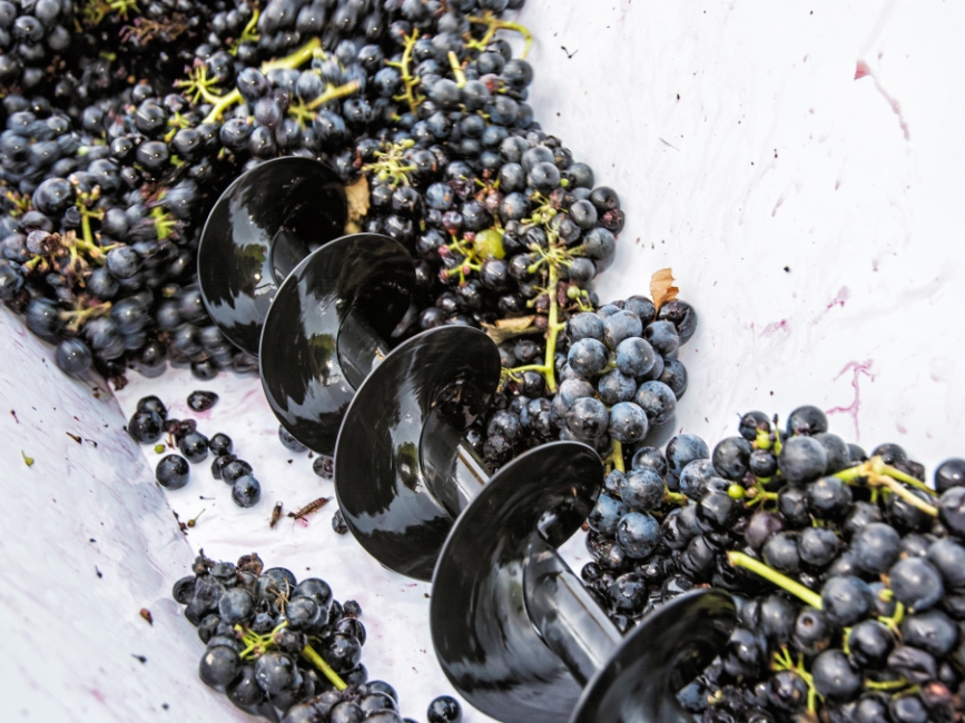 Как делают вино: технологии производства