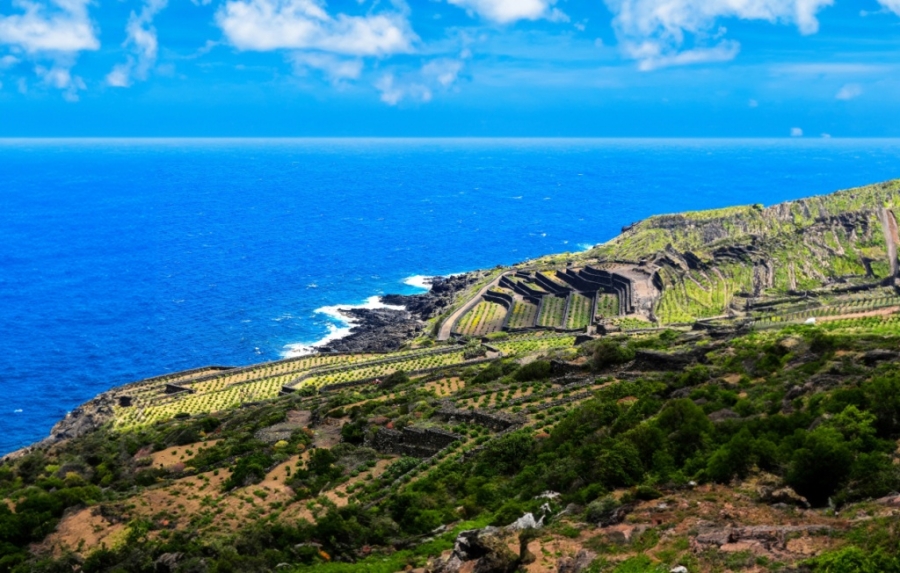 Сицилия: винная карта острова